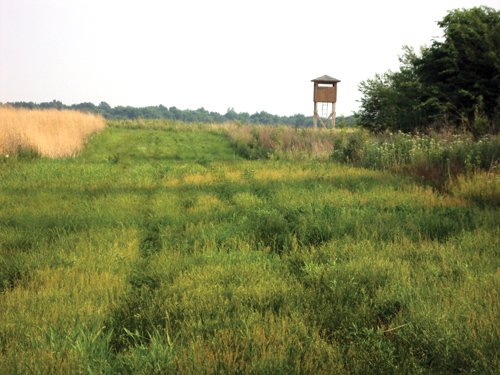 Property photo 5 - 114+/- Acres Offered in 4 Tracts